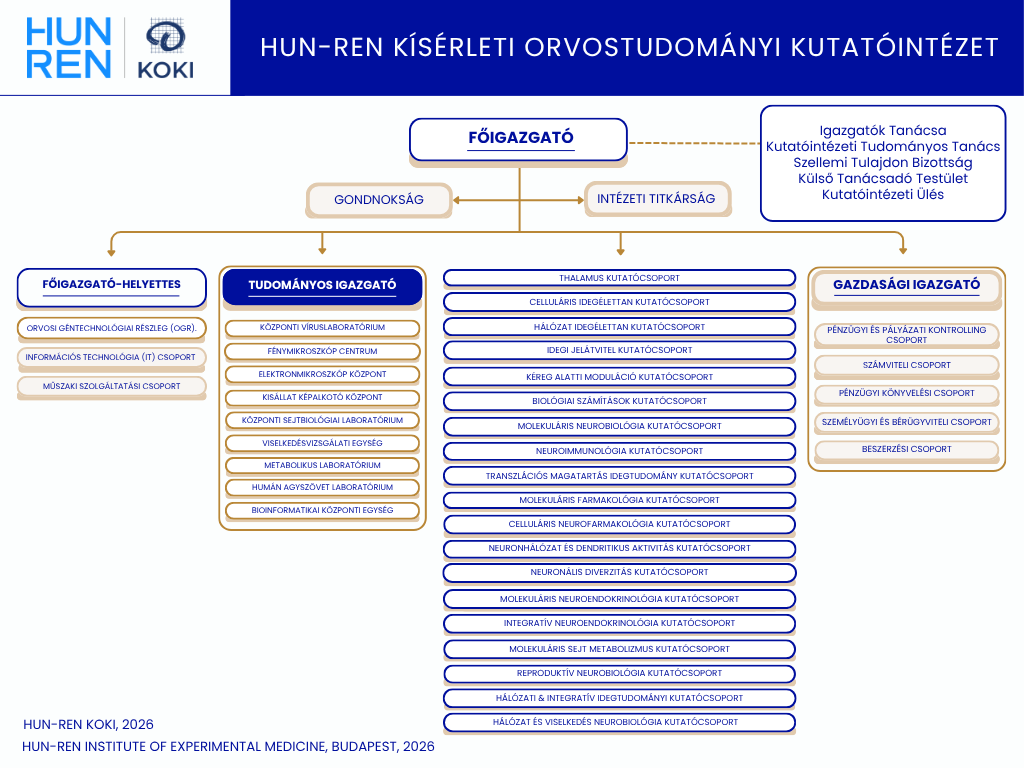 Organogram